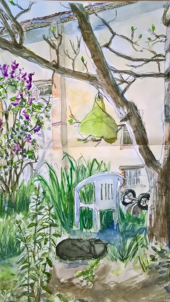 Jardin - croquis du quotidien