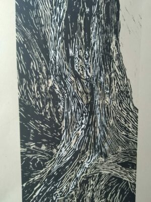 484837261_2015058255653666_3823864799636845093_n