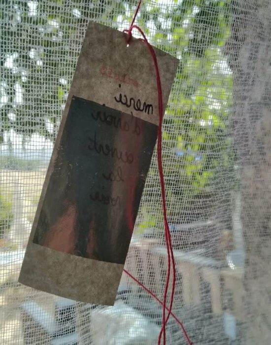 détail gratitudes